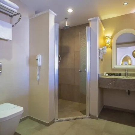 Deluxe Hotel 4*