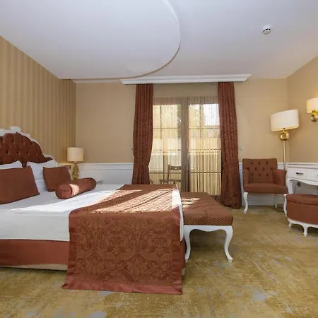 汉豪华酒店 酒店 厄吕代尼兹